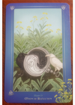 Moon Of Reflection (13)