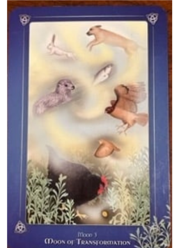 Moon of Transformation